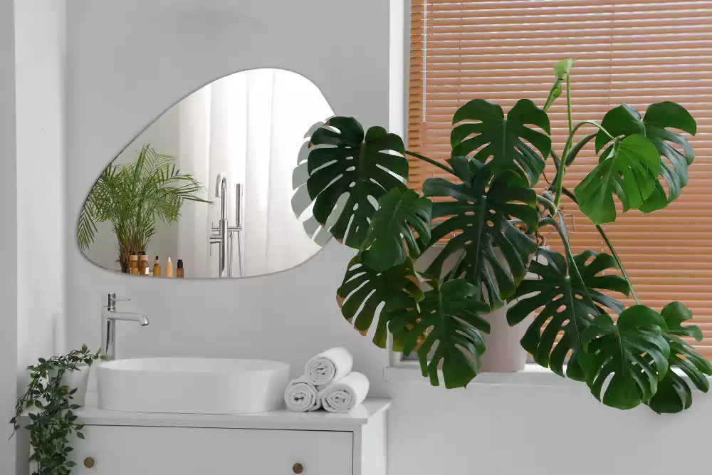 Miroir suspendu de forme organique moderne