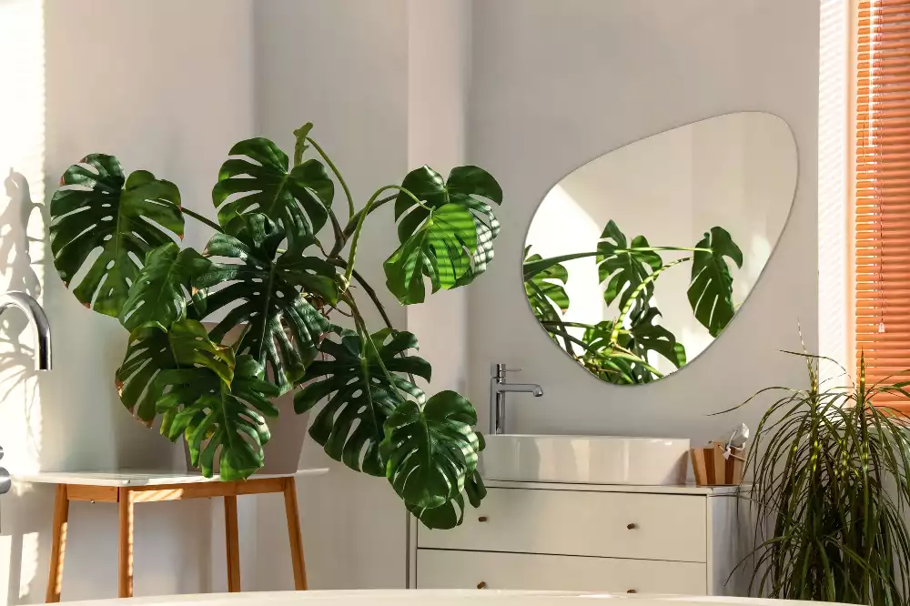 Miroir suspendu de forme organique moderne