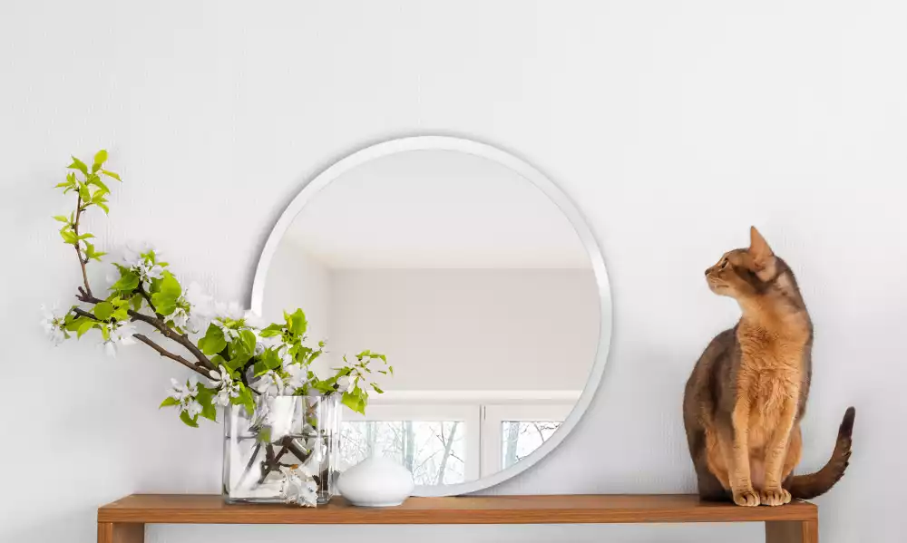 Miroir rond suspendu avec cadre blanc