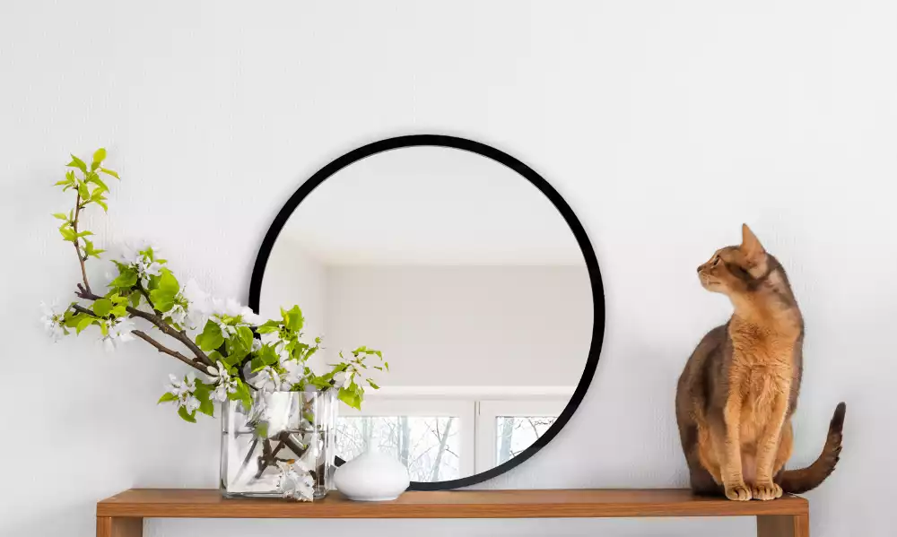 Miroir rond suspendu avec cadre noir