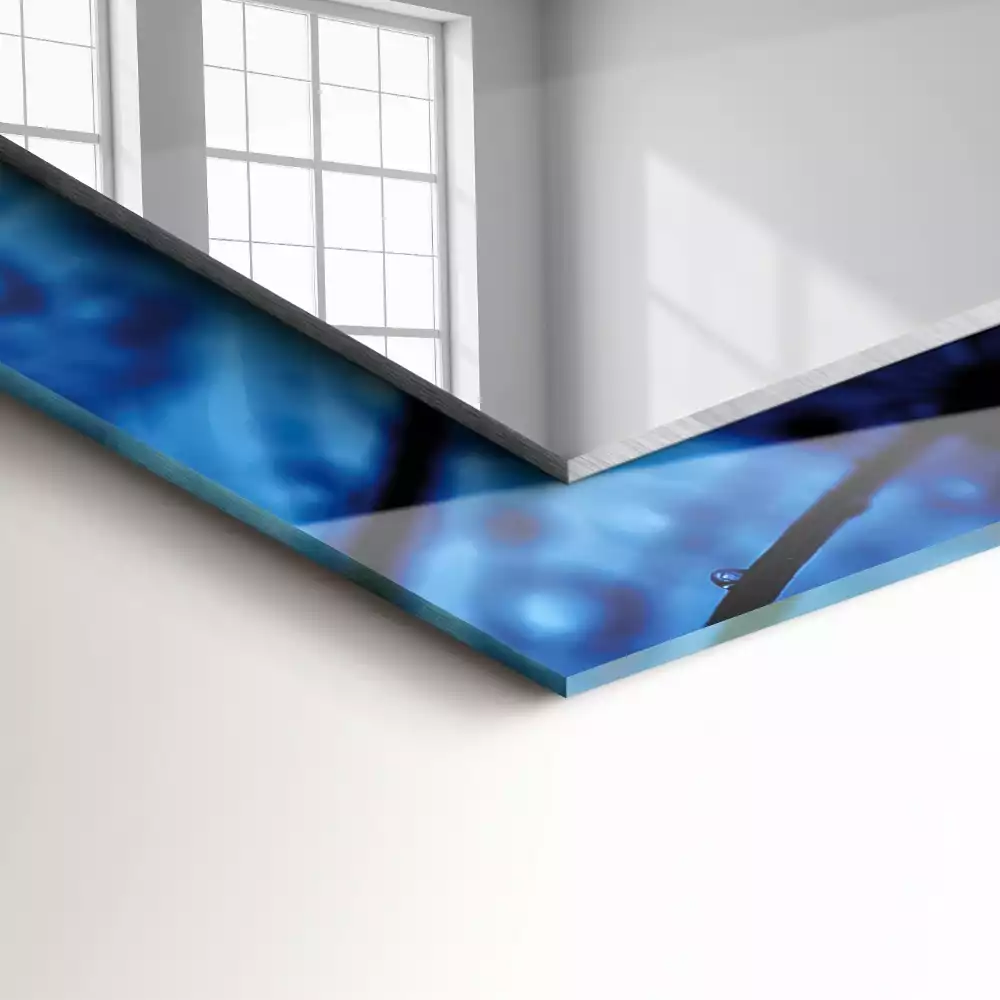 Miroir rectangulaire à cadre imprimé gouttes d'eau sur pissenlits