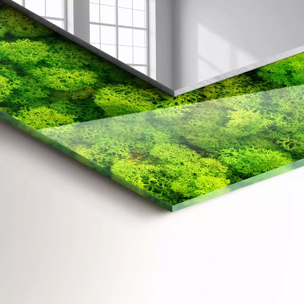 Miroir rectangulaire à cadre imprimé mousse verte