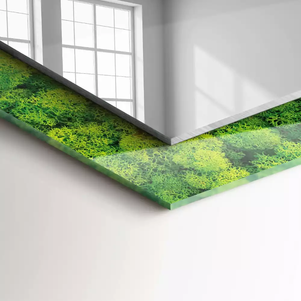 Miroir rectangulaire à cadre imprimé mousse verte