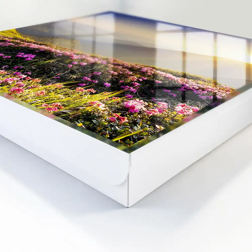 Boîte à clés montagnes et fleurs roses au lever du soleil