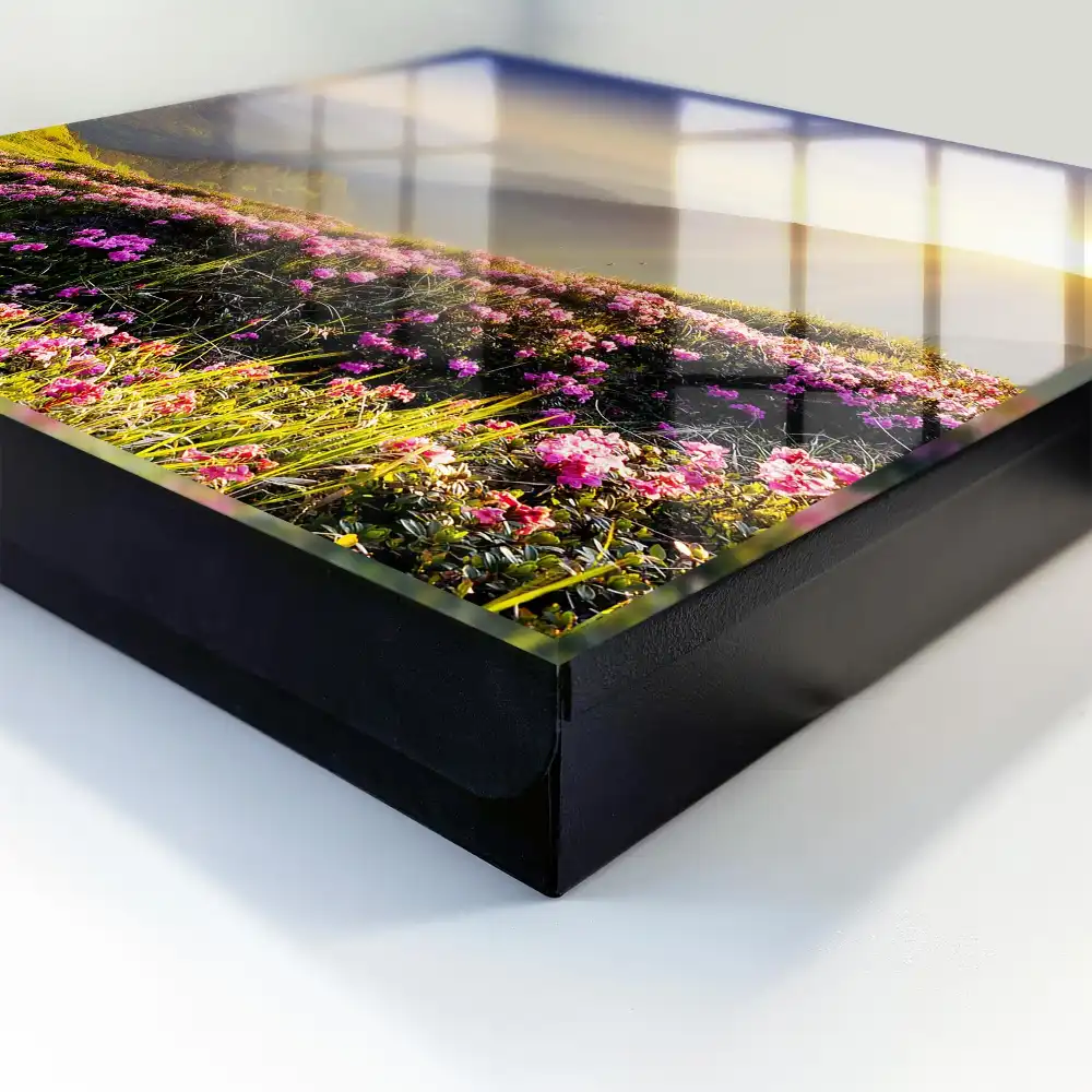 Boîte à clés montagnes et fleurs roses au lever du soleil