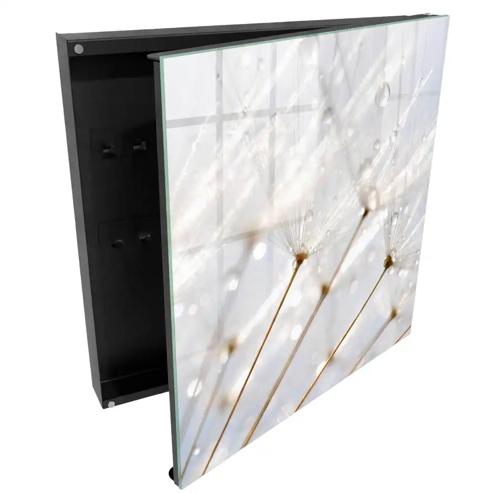 Armoire à clés des pissenlits sous la douce lumière et la pluie