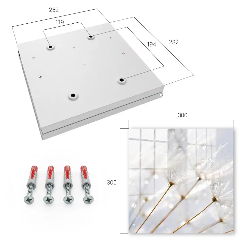 Armoire à clés des pissenlits sous la douce lumière et la pluie