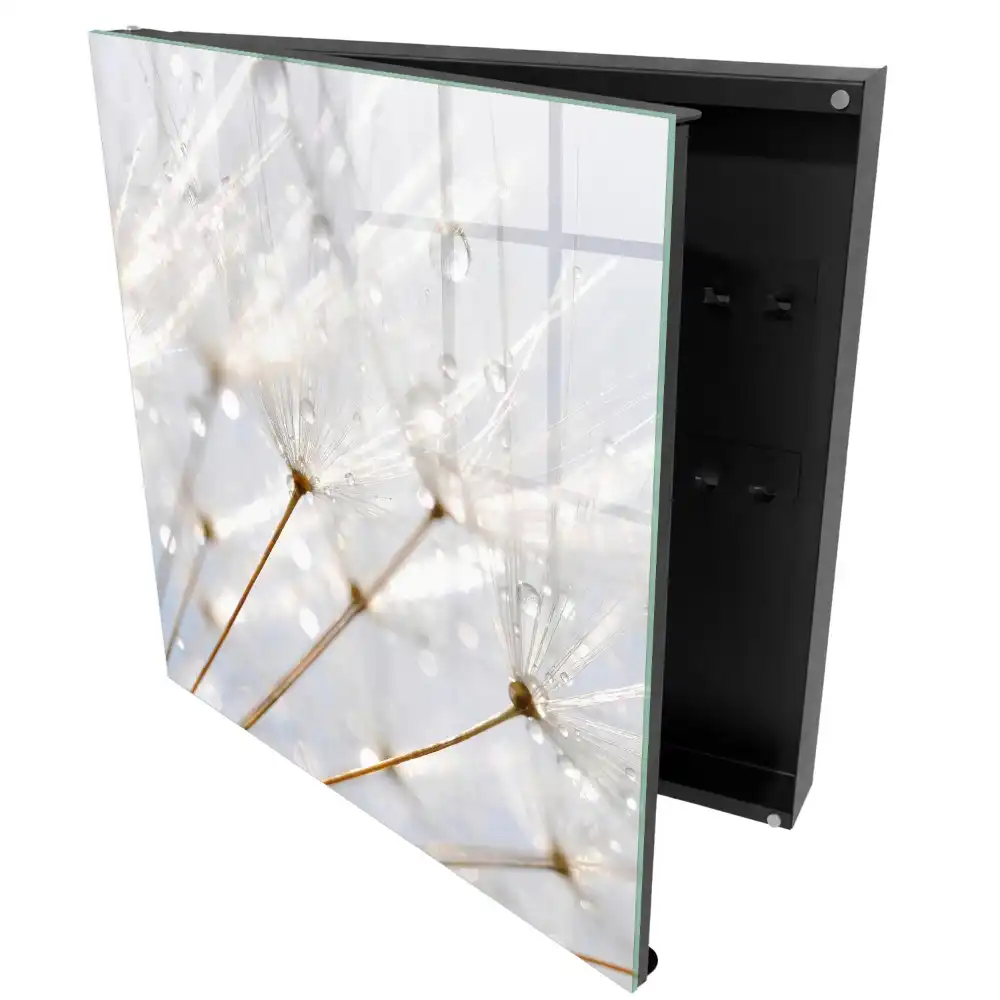 Armoire à clés des pissenlits sous la douce lumière et la pluie