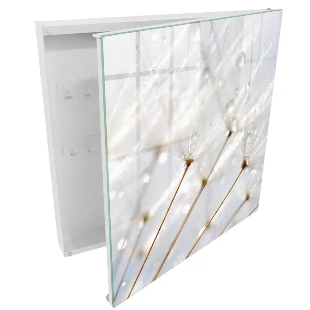 Armoire à clés des pissenlits sous la douce lumière et la pluie