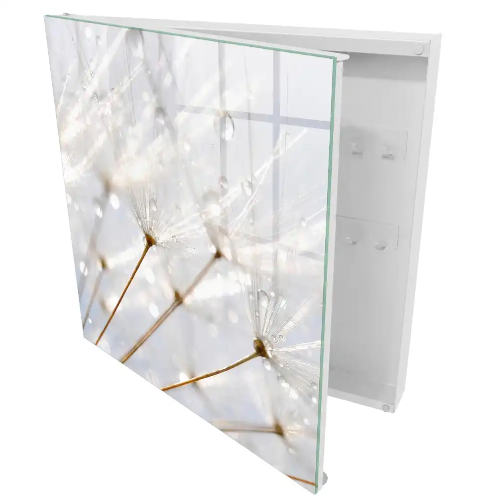 Armoire à clés des pissenlits sous la douce lumière et la pluie