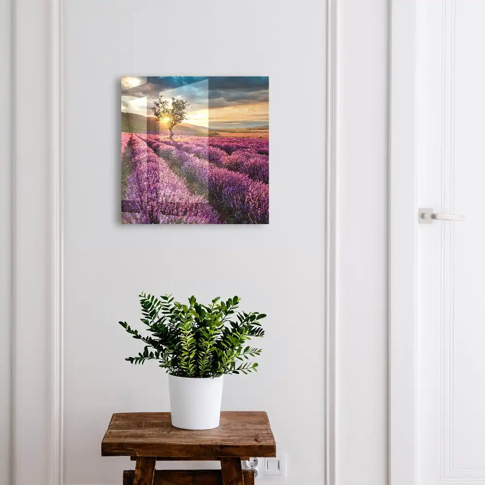 Boîte à clés champs de lavande violette au coucher du soleil