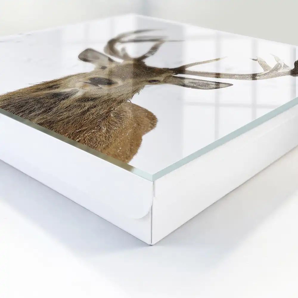 Armoire à clés un cerf dans un paysage hivernal empreint d'harmonie