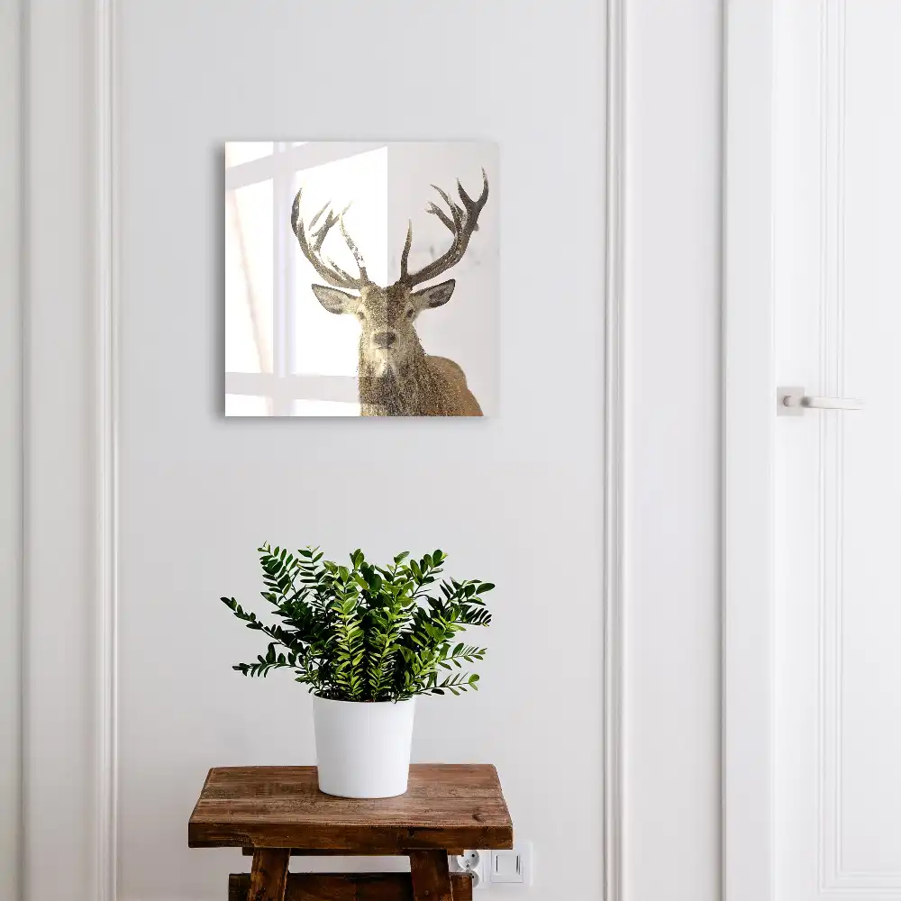 Armoire à clés un cerf dans un paysage hivernal empreint d'harmonie