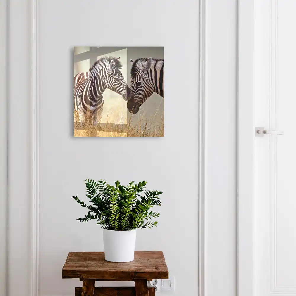 Armoire à clés des zèbres dans la nature avec de l'herbe et un fond beige.