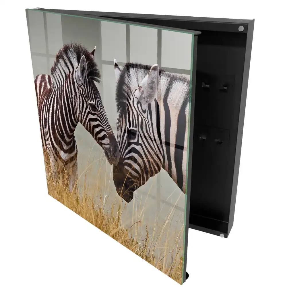 Armoire à clés des zèbres dans la nature avec de l'herbe et un fond beige.