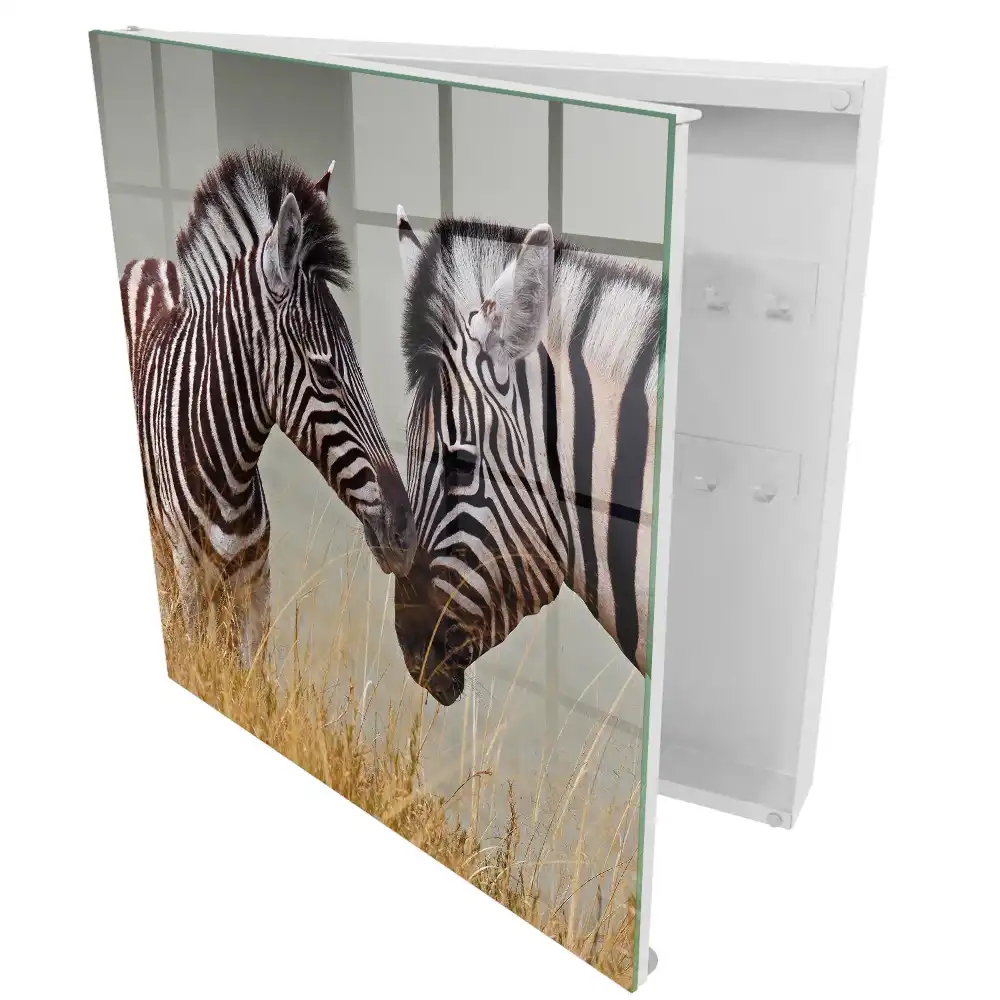 Armoire à clés des zèbres dans la nature avec de l'herbe et un fond beige.