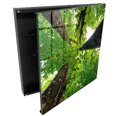 Boîte à clés fourré vert illuminé par la lumière