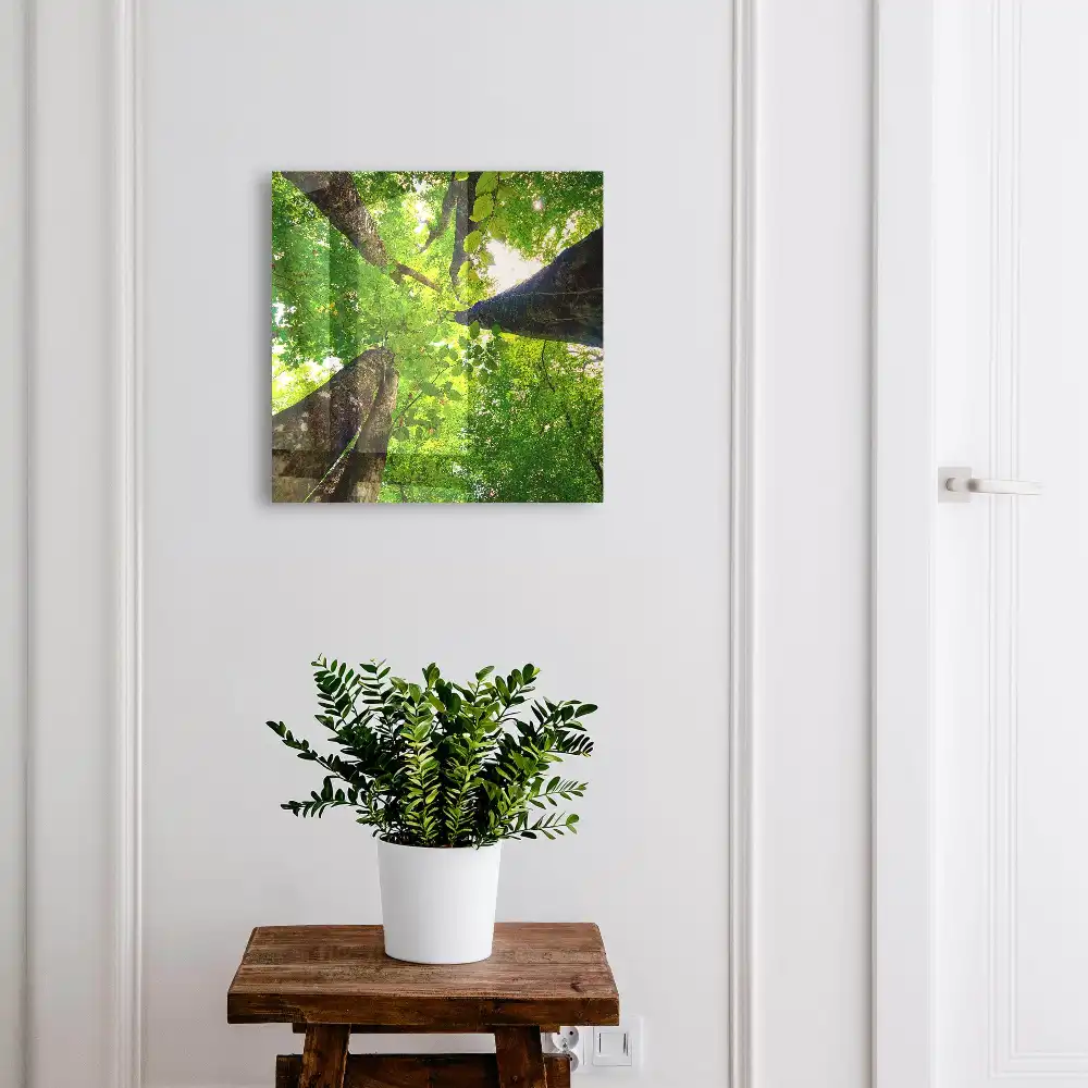 Boîte à clés fourré vert illuminé par la lumière