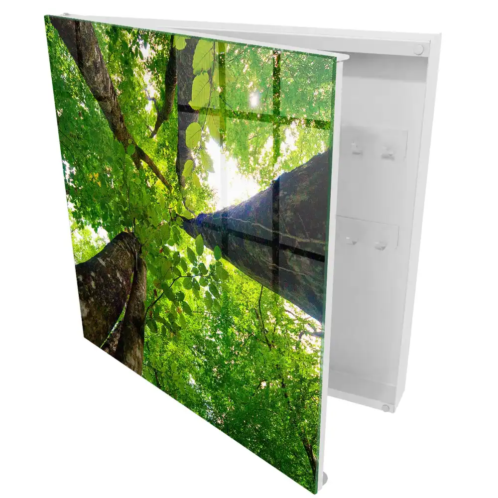 Boîte à clés fourré vert illuminé par la lumière