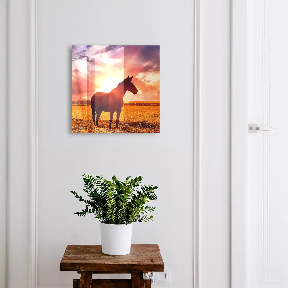 Armoire à clés un cheval dans la lueur du soleil couchant