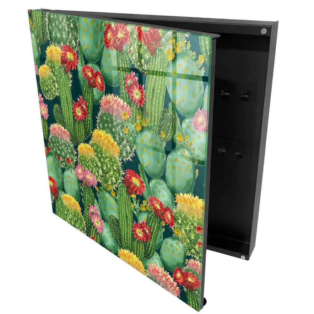 Armoire à clés cactus colorés sur fond sombre