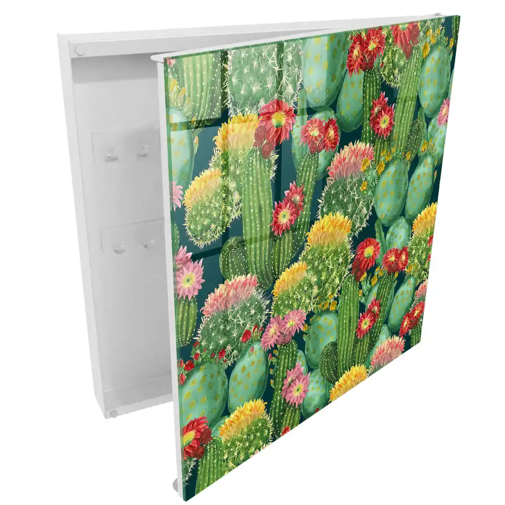 Armoire à clés cactus colorés sur fond sombre