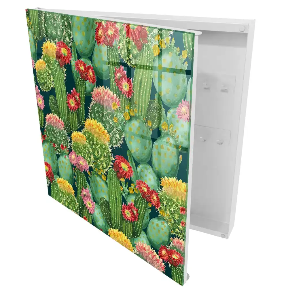 Armoire à clés cactus colorés sur fond sombre