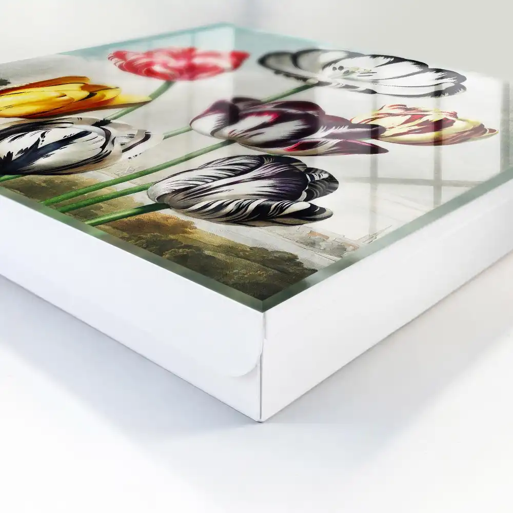 Armoire à clés tulipes rétro colorées pleines d'énergie