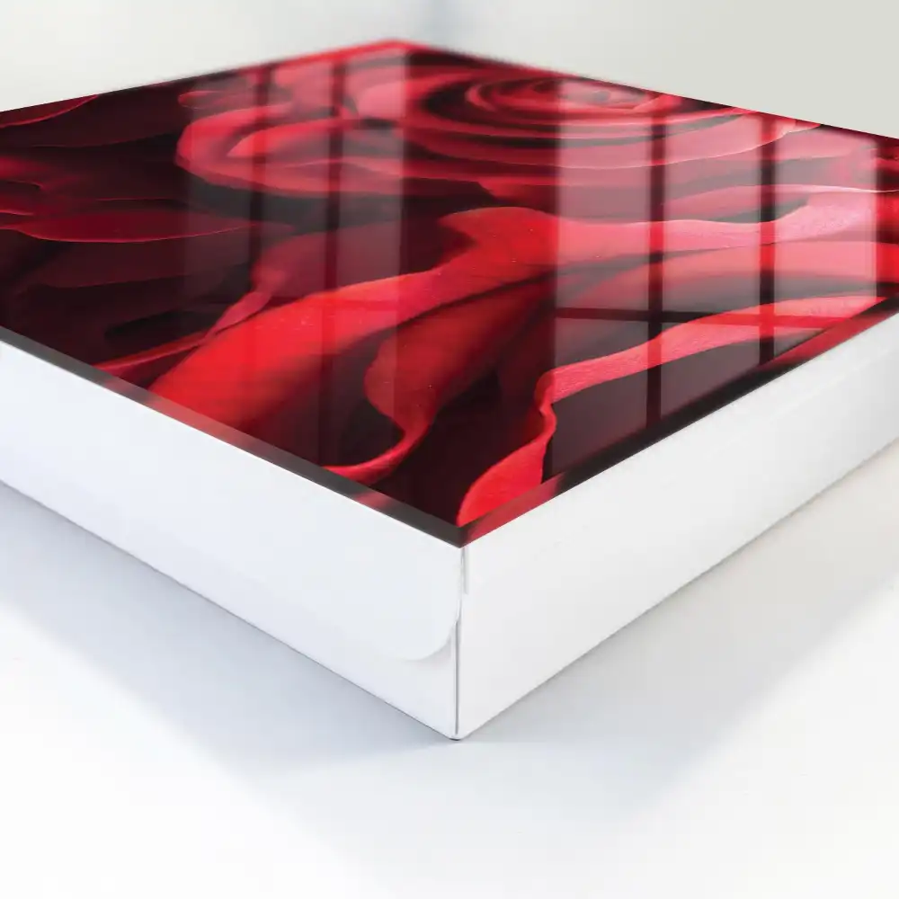 Armoire à clés des roses rouges intenses égayent l'intérieur