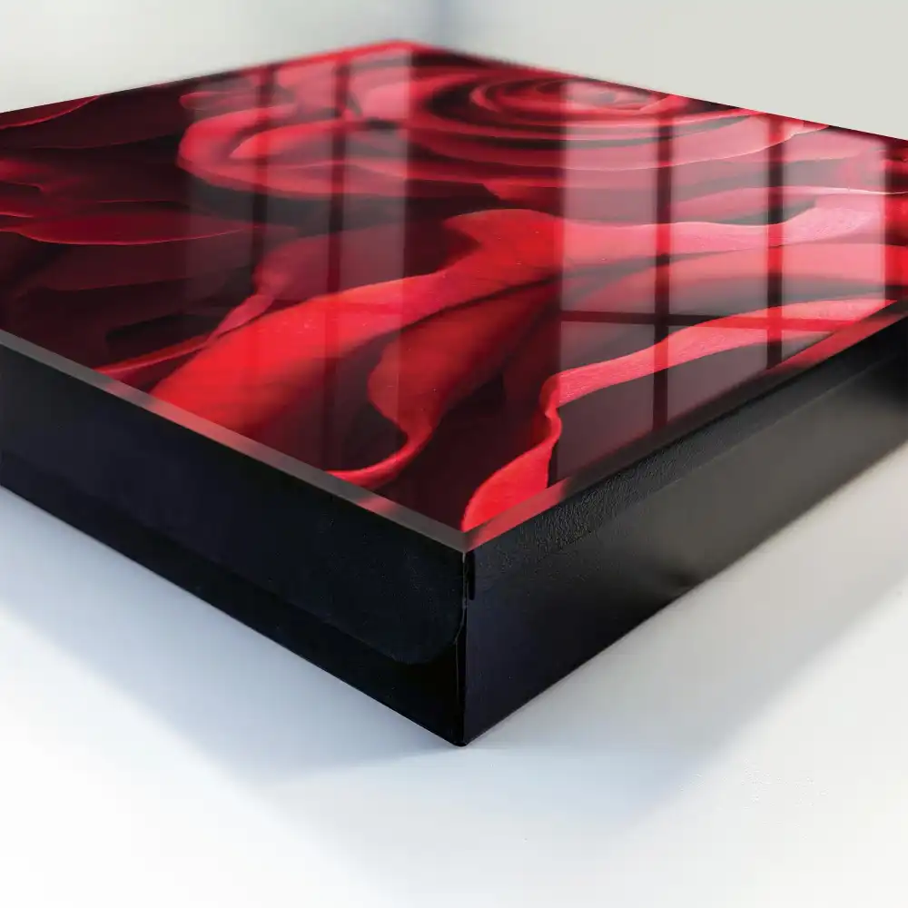 Armoire à clés des roses rouges intenses égayent l'intérieur