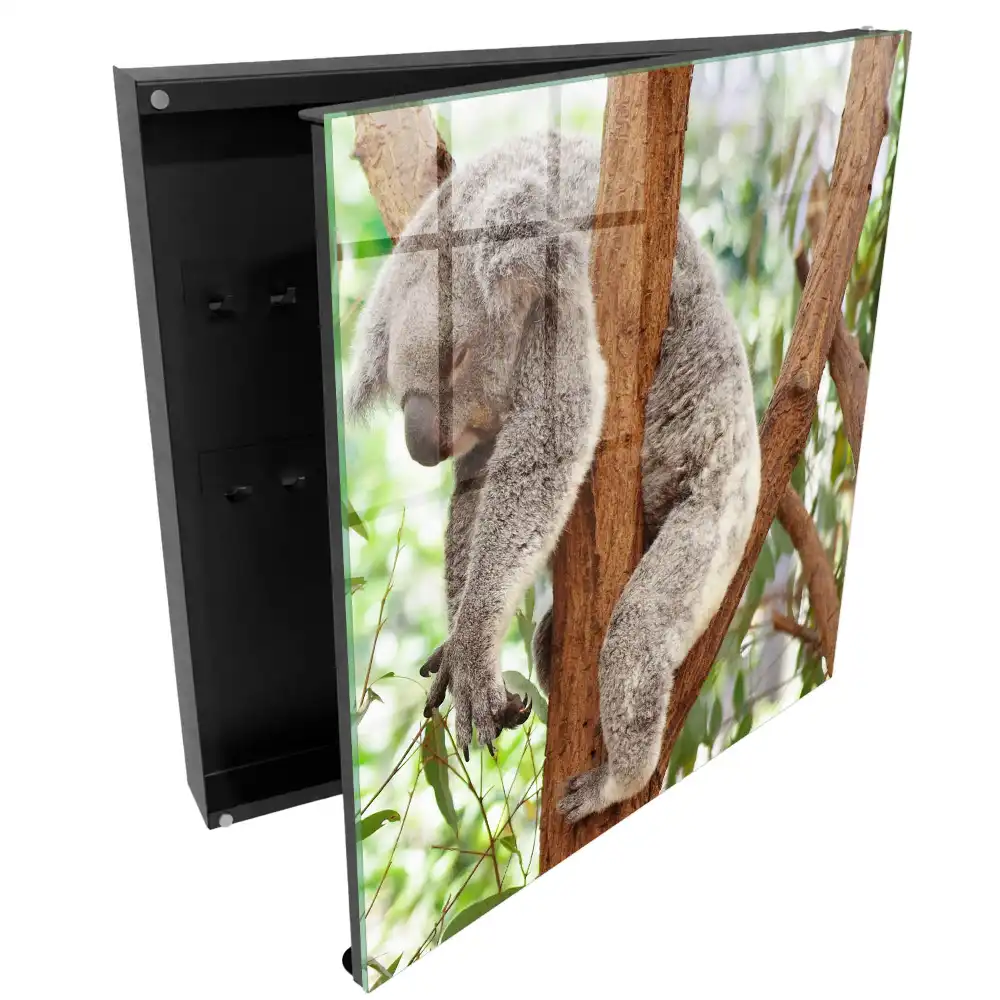 Boîte à clés murale koala sur un arbre dans un cadre naturel