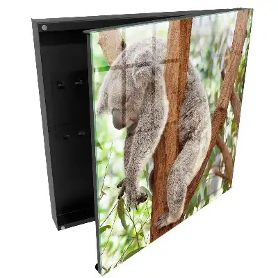 Boîte à clés murale koala sur un arbre dans un cadre naturel