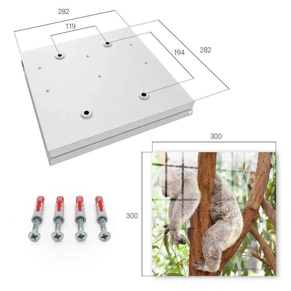 Boîte à clés murale koala sur un arbre dans un cadre naturel