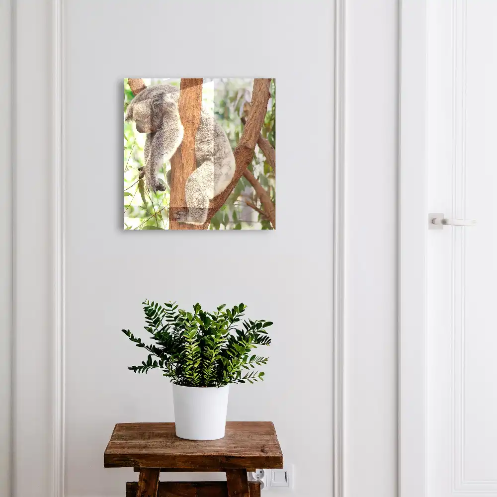 Boîte à clés murale koala sur un arbre dans un cadre naturel