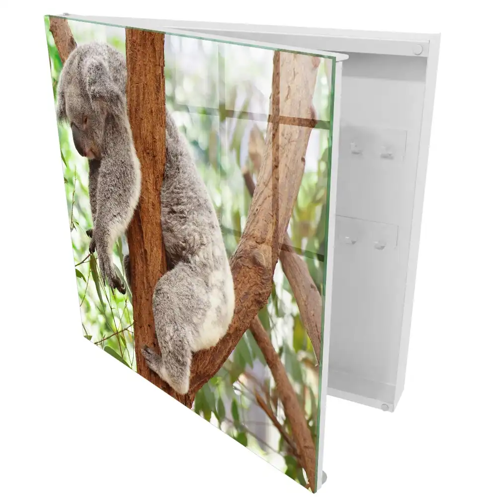 Boîte à clés murale koala sur un arbre dans un cadre naturel