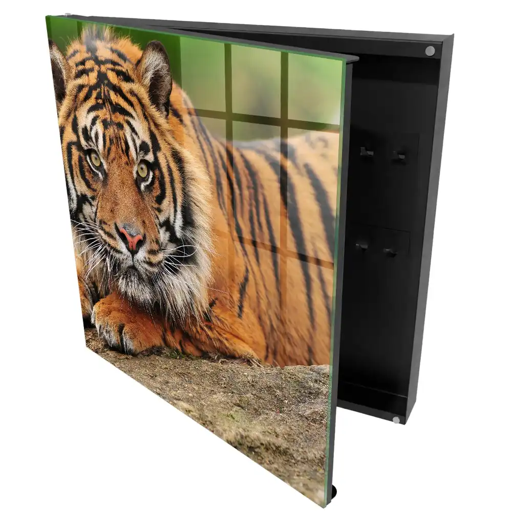 Armoire à clés un tigre au repos le regard intense