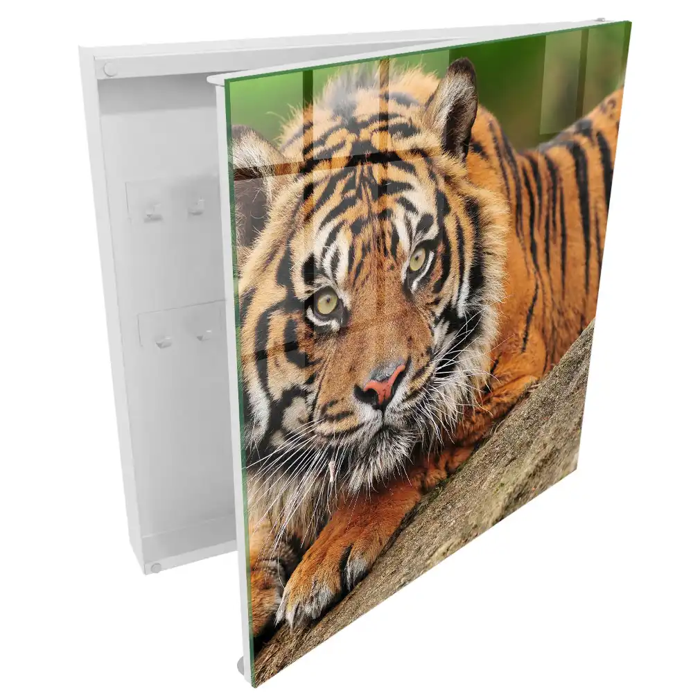 Armoire à clés un tigre au repos le regard intense