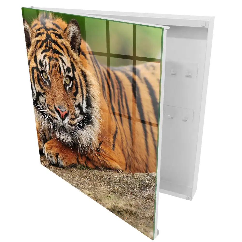 Armoire à clés un tigre au repos le regard intense