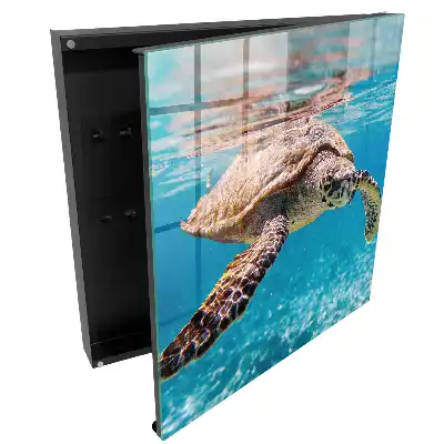 Boîte à clés une magnifique tortue dans l'eau bleue