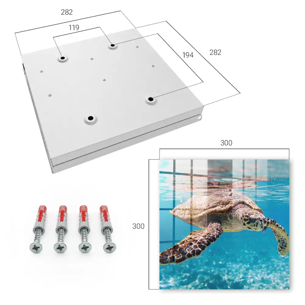 Boîte à clés une magnifique tortue dans l'eau bleue