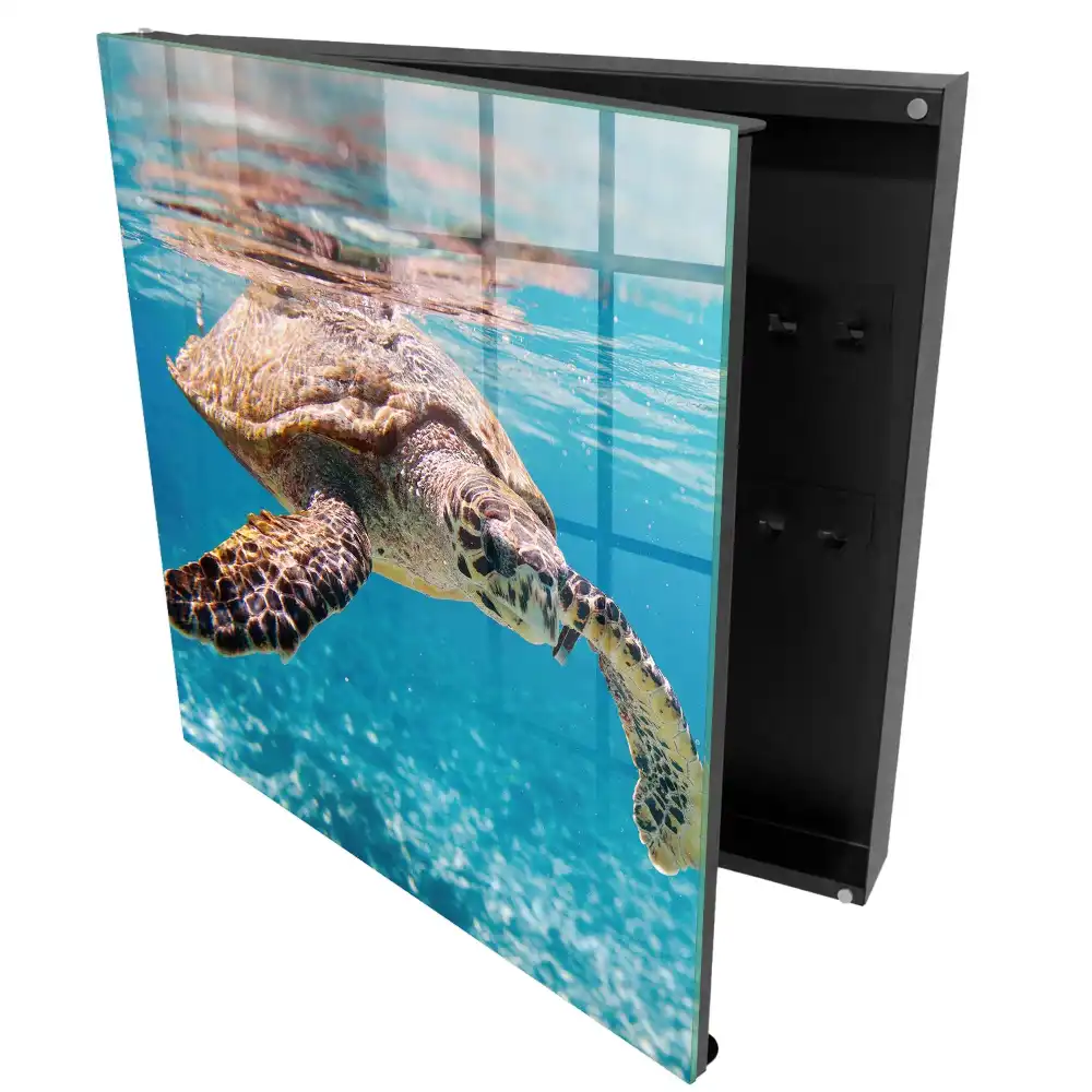 Boîte à clés une magnifique tortue dans l'eau bleue
