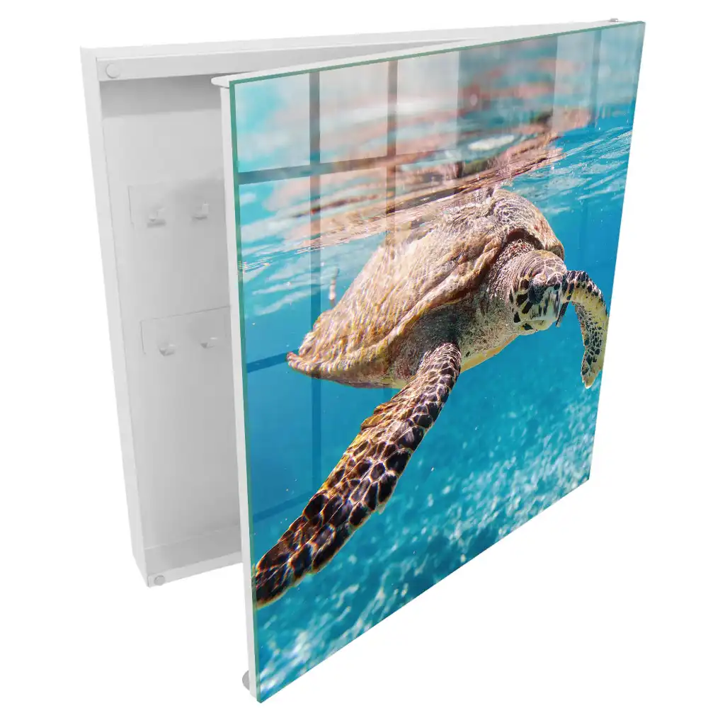 Boîte à clés une magnifique tortue dans l'eau bleue
