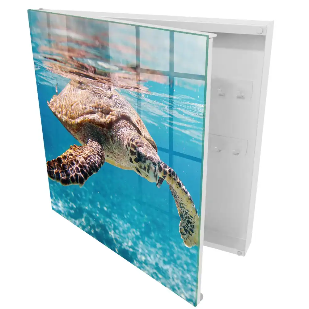 Boîte à clés une magnifique tortue dans l'eau bleue