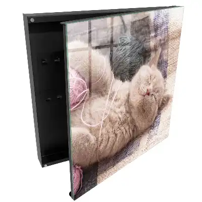 Boîte à clés murale un adorable chaton parmi des pelotes de laine douce une détente silencieuse