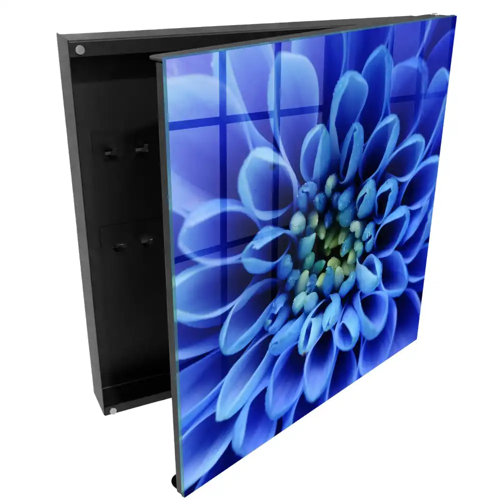 Armoire à clés des pétales d'un bleu intense sont disposés en spirale.