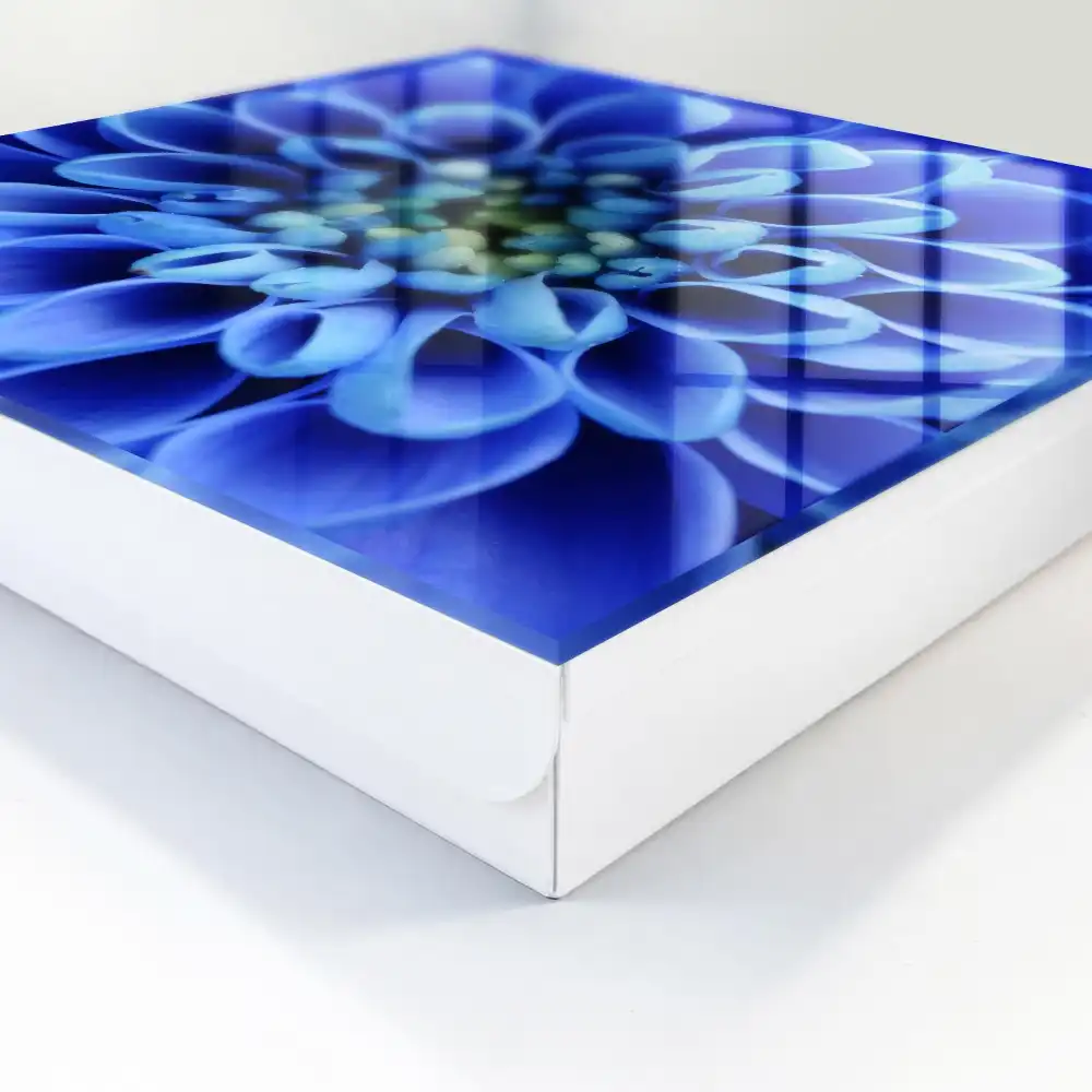 Armoire à clés des pétales d'un bleu intense sont disposés en spirale.