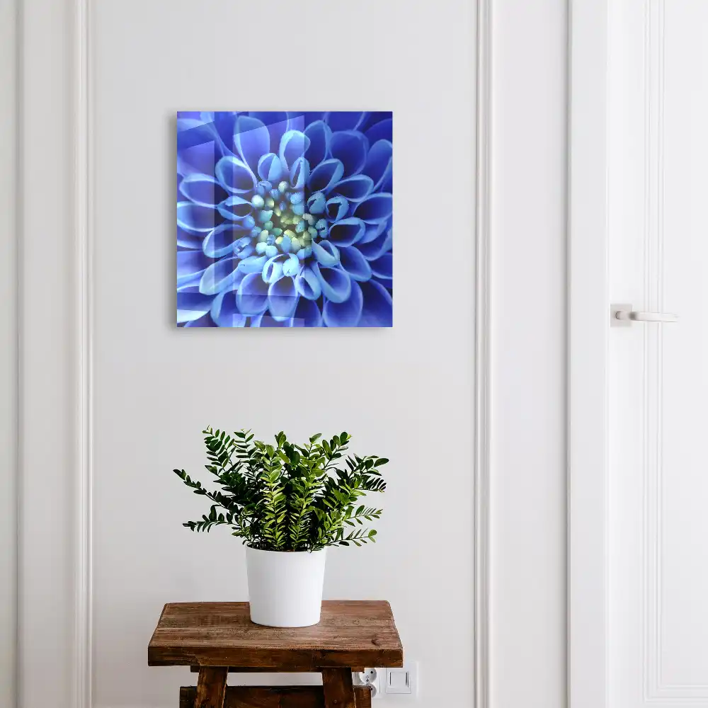 Armoire à clés des pétales d'un bleu intense sont disposés en spirale.