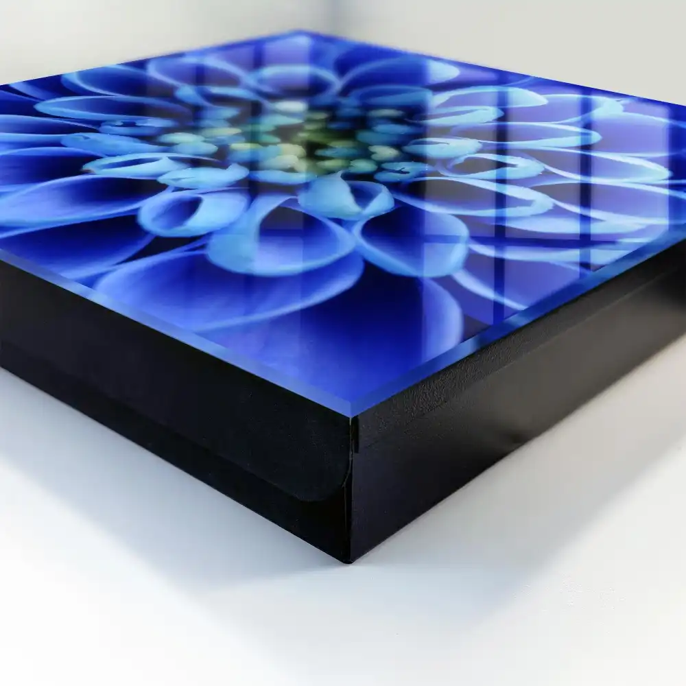 Armoire à clés des pétales d'un bleu intense sont disposés en spirale.