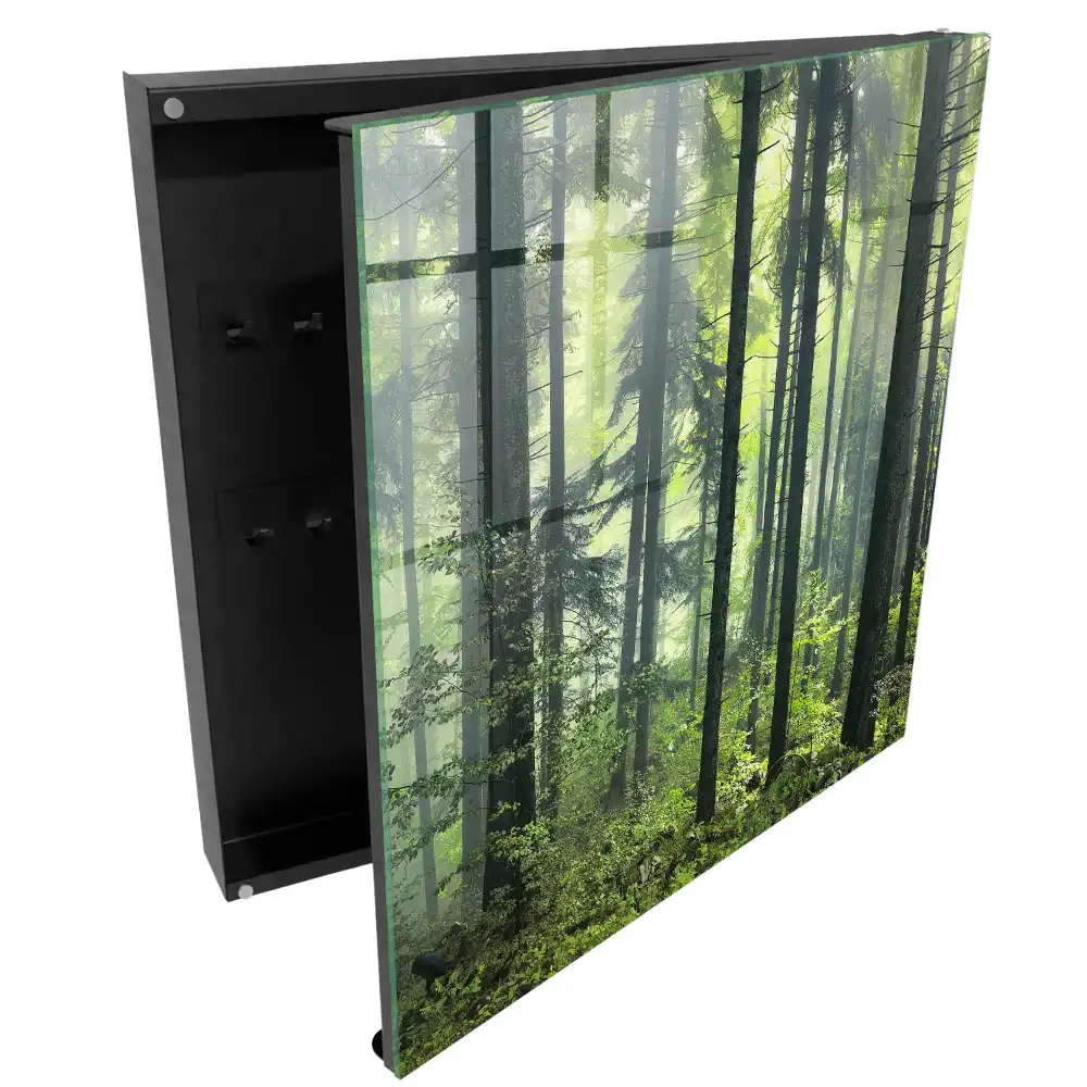 Boîte à clés une forêt brumeuse pleine de soleil et de verdure