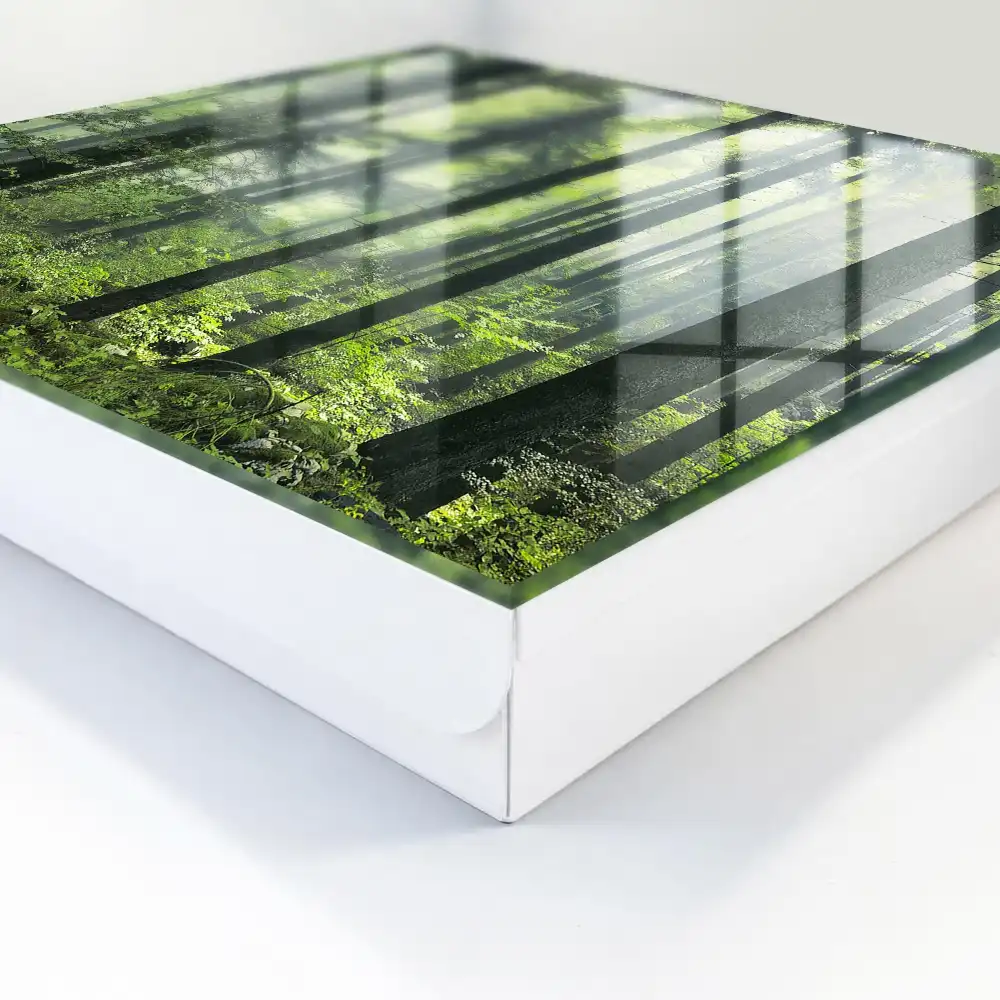 Boîte à clés une forêt brumeuse pleine de soleil et de verdure